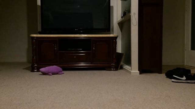 How To Tie Your Shoes With No Hands Instructional Presentation