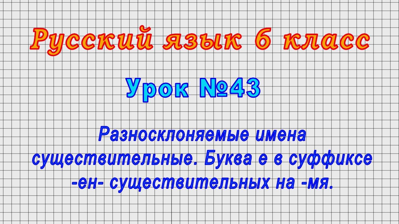 Русский язык 6 класс (Урок№43 - Разносклоняемые имена существительные.) смотреть онлайн