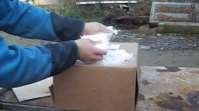 Пережженый пеноизол