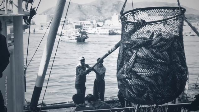 From the free seas to a legal order for the seas смотреть онлайн