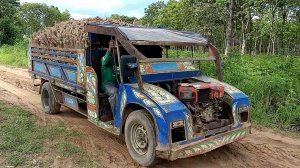 УНИКАЛЬНЫЕ МАШИНЫ, МЕХАНИЗМЫ И УДИВИТЕЛЬНАЯ ТЕХНИКА И ТЕХНОЛОГИИ СЕЛЬСКОГО ХОЗЯЙСТВА, 95, Lucky Tech