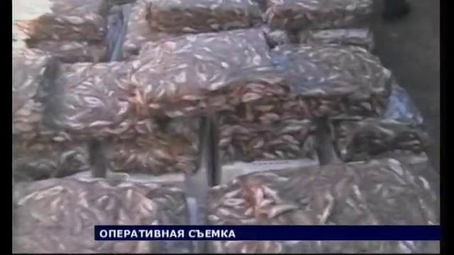 Переработчики тухлой рыбы смотреть онлайн
