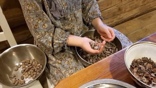 Перебираем какао бобы перед перетираем _ Sorting Cocoa Beans For Grinding