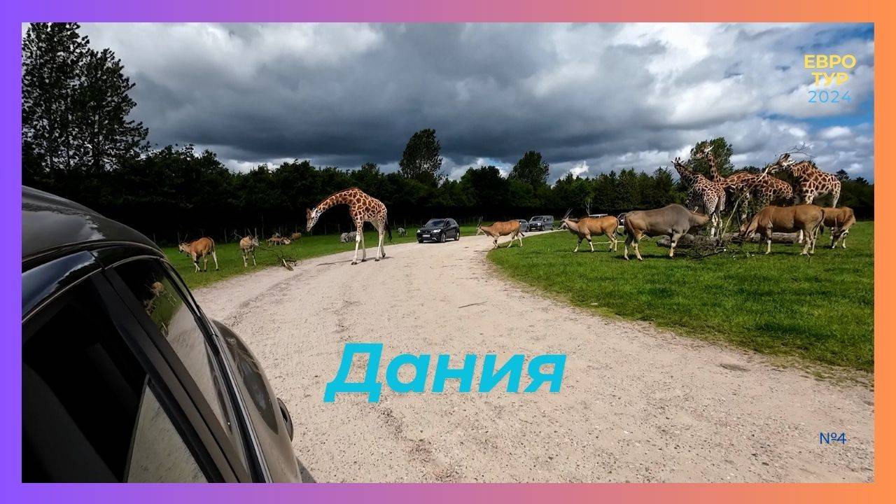 ✓4 Лучший ЗАФАРИ зоопарк / ЕВРОТУР