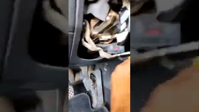 كيفيه ازاله قفل الإشعال نيمان بطريقه سهله VW SEAT SKODA AUDI смотреть онлайн