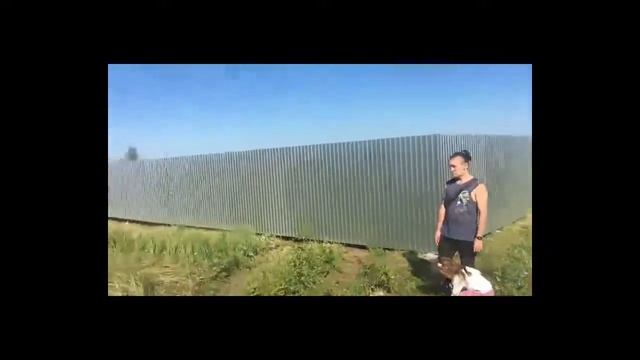 забор из профнастила смотреть онлайн
