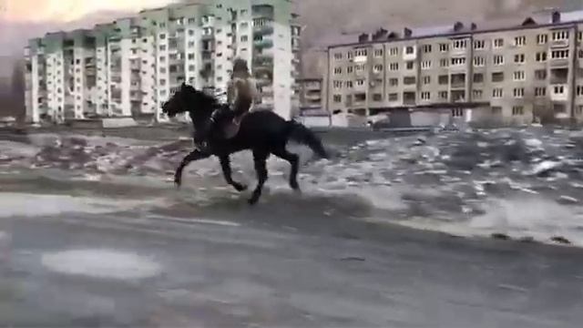 Иноходец Боран. Продаётся. смотреть онлайн