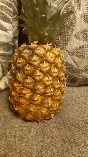 КвИнКа СлОуМо, В АНАНАС ИДИТЕЕЕЕЕЕ #тренды #ананас #квинка