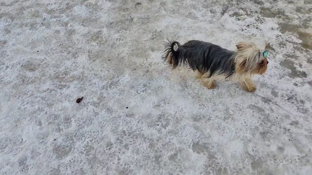 1000041648.mp4 смотреть онлайн