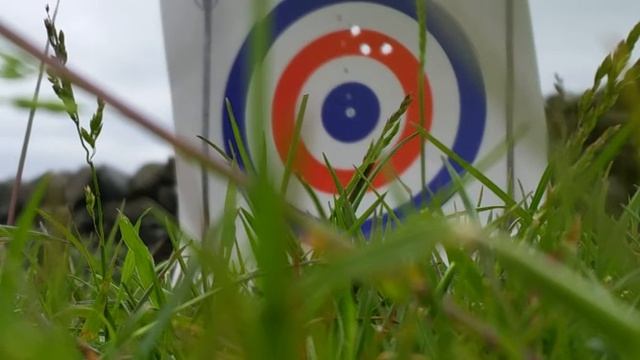 CCI Stinger Test смотреть онлайн