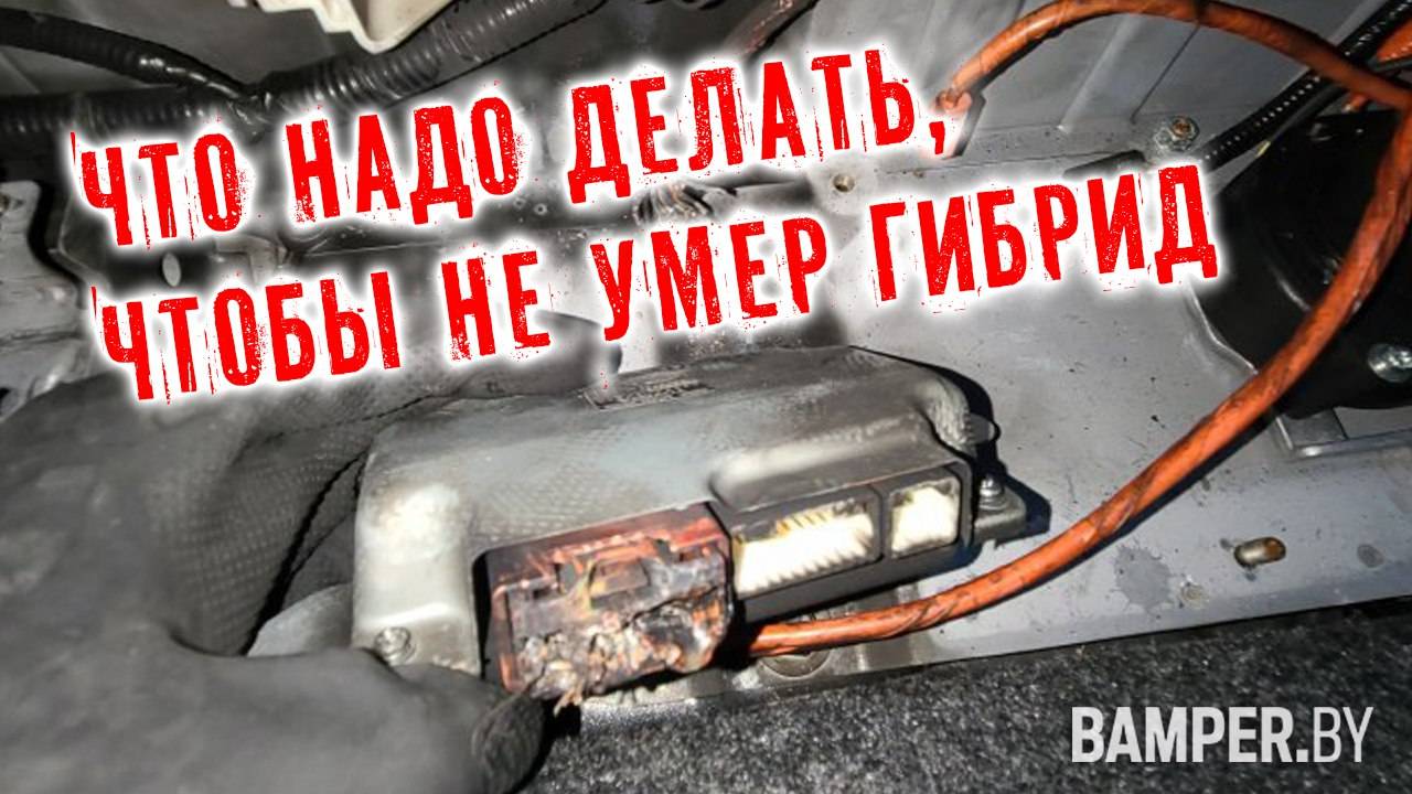 Что надо делать, чтобы не умер гибрид смотреть онлайн