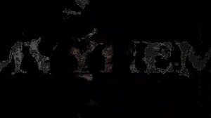 Lady Gaga - Perfect Celebrity