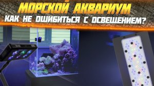 Морской Аквариум- Как Не Ошибиться с Освещением?