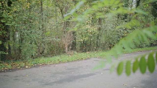 My Bikepacking Bike Setup In 2022 | The Salsa Fargo