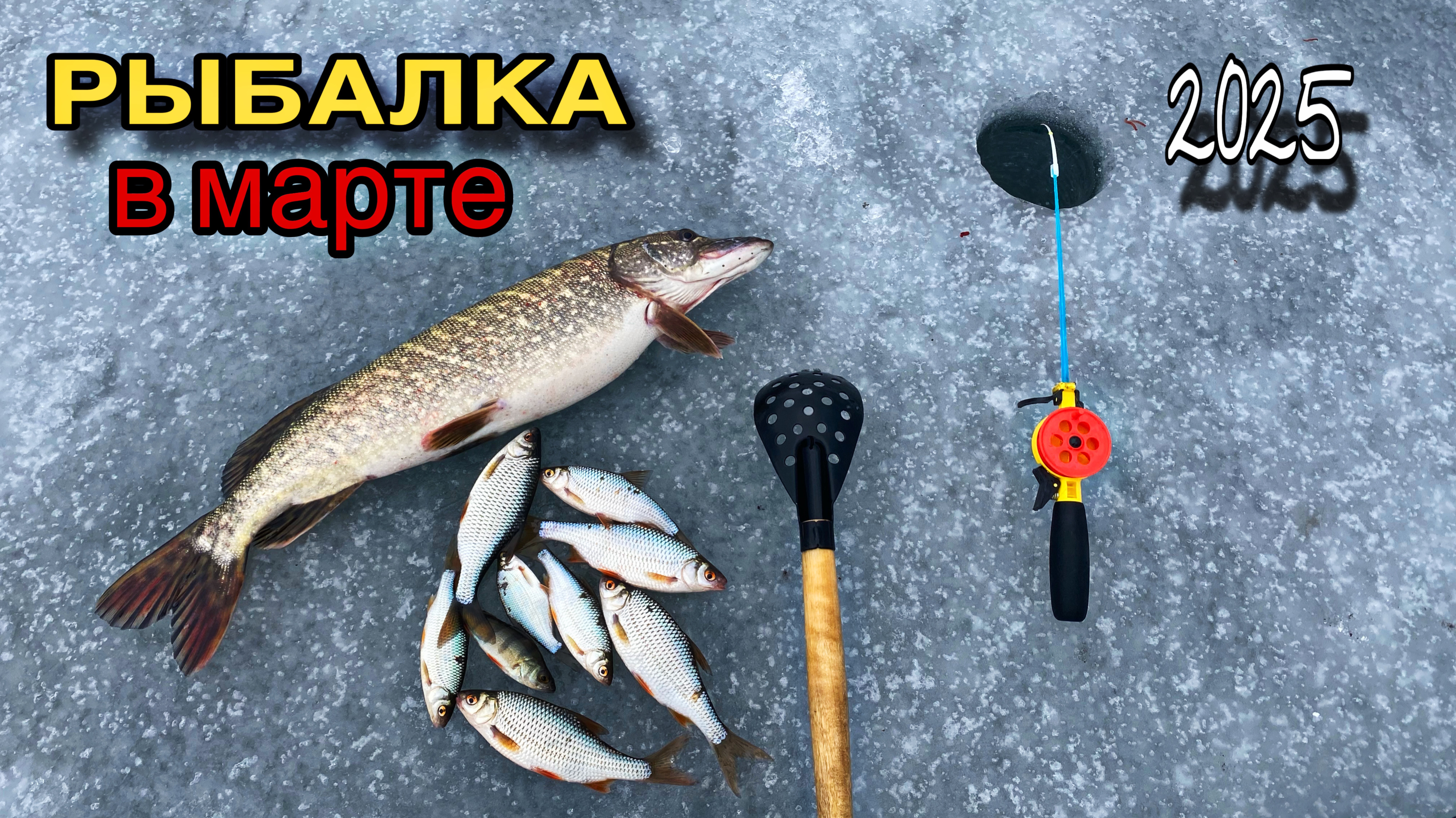 НАКОНЕЦ ТО НАЧАЛО КЛЕВАТЬ!!РЫБАЛКА в МАРТЕ 2025!!ЛОВЛЮ КРУПНУЮ ПЛОТВУ и ЩУКУ на ЖЕРЛИЦЫ!! смотреть онлайн