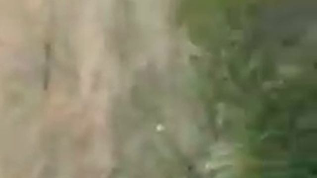 Паркур На Велосипедах смотреть онлайн