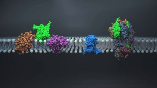 Бутиквинол