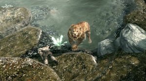 The Elder Scrolls V: Skyrim. Добыть кровь лесного эльфа. Прохождение от SAFa