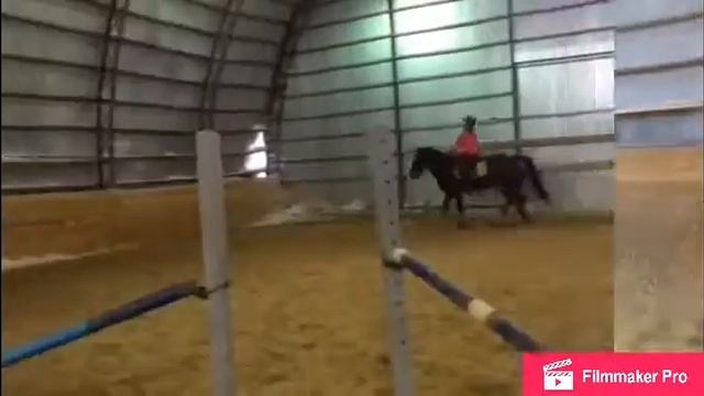 В ГОСТЯХ У КОННИКА| Пурпур| галоп-прыжки | Lizka.NET😜🐴🤜🏽🥇 смотреть онлайн
