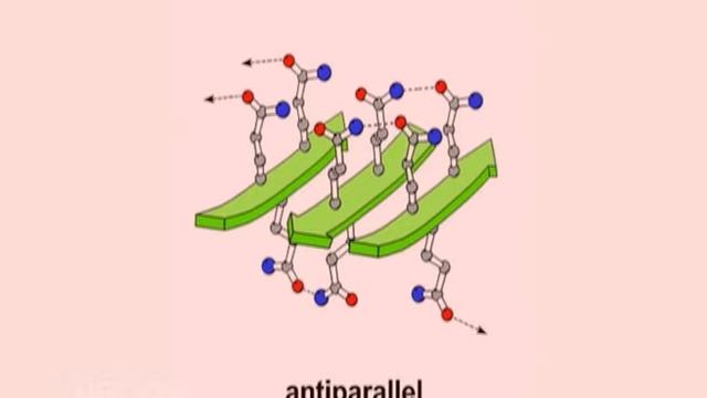 Structure of Proteins смотреть онлайн
