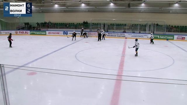 Волки (г. Орехово-Зуево) - Мамонты (г. Электросталь)