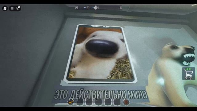 Милота! смотреть онлайн