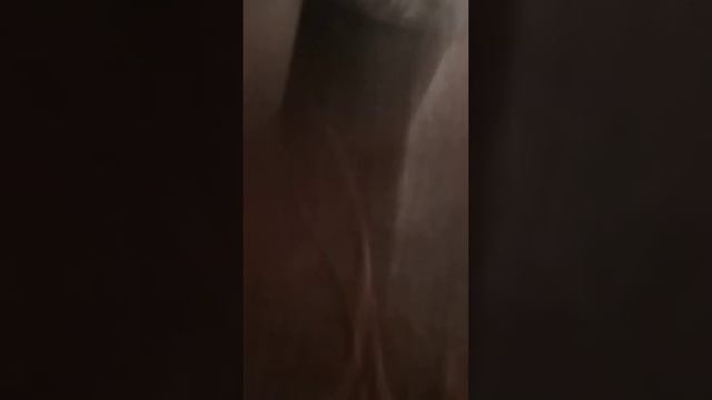 убойный цех Бишкек смотреть онлайн