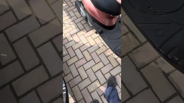 АЛЬФА NEW 125 кубов смотреть онлайн