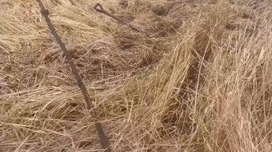 Отличные находки по хорошей цене!!!