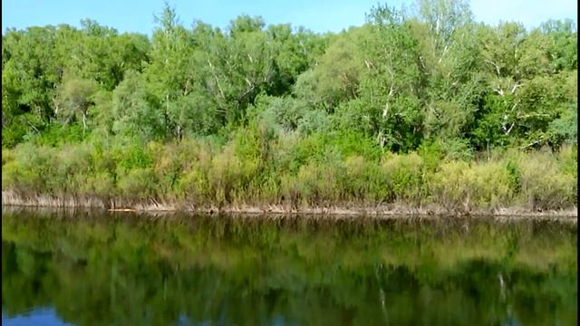 Пение птиц // Birds sing // Spring // River смотреть онлайн