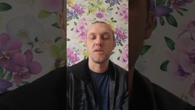 Россия МХЛ Ладья-Чайка✅✅✅✅ смотреть онлайн