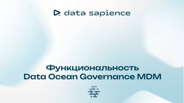 Функционал Data Ocean Governance MDM