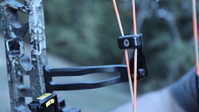 Bear Archery 2020 Divergent EKO First Look Test Review By Mike's Archery
