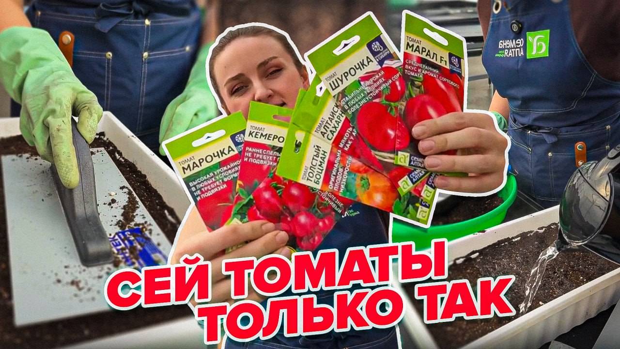 ПРАВИЛЬНЫЙ ПОСЕВ ТОМАТОВ смотреть онлайн