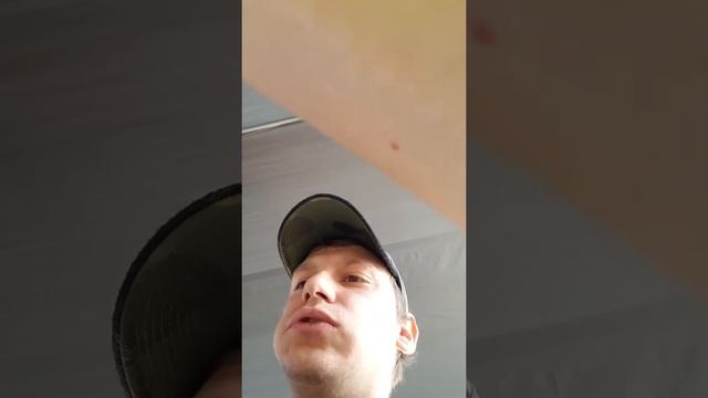 путешествие по Флориде/ ем такос