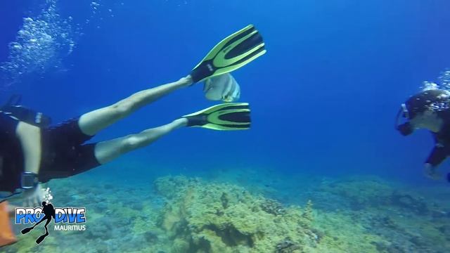 GoPro Hd 4 - Test Dome GoPro - Platax