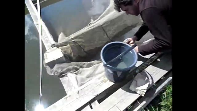 В поисках Судака смотреть онлайн