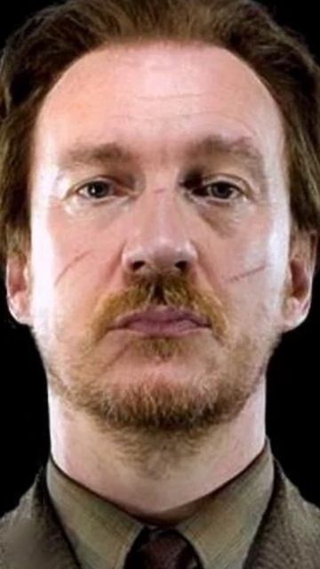 WEREWOLF PROFESSOR REMUS LUPIN #harrypotter #shortvideo#shorts #short #hogwarts смотреть онлайн