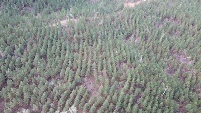 72 ACRES IN HEARD COUNTY GA