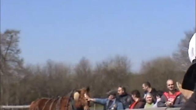 NARBE FAIT SON CINE смотреть онлайн