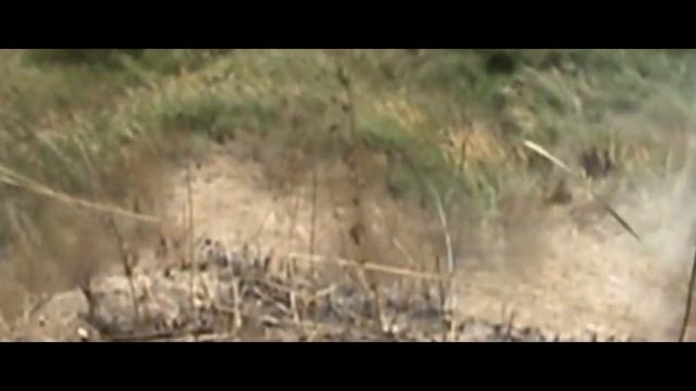 Mishanya Ogorodnik старые видео фрирайд