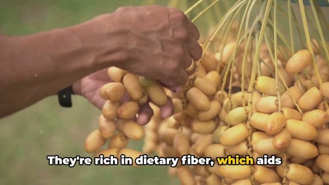 Benefits of eating dates смотреть онлайн