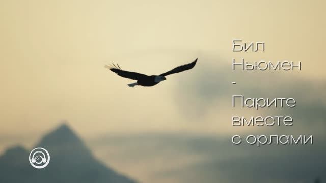 Бил Ньюман - Парите вместе с орлами.