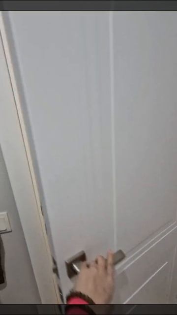 WhatsApp Video 2025-03-07 At 16.00.58