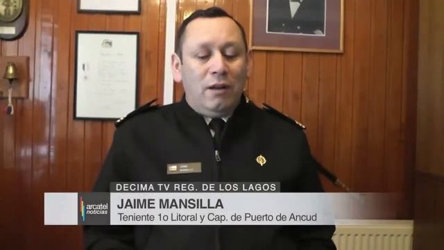 Dos ballenas varan en playa de Ancud смотреть онлайн