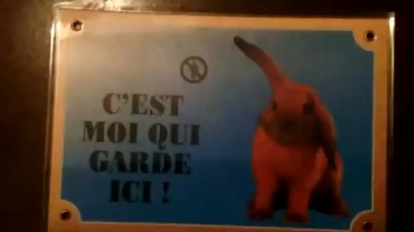 BlackPearl Squatt Memories - Zebra Unit Ath 2011