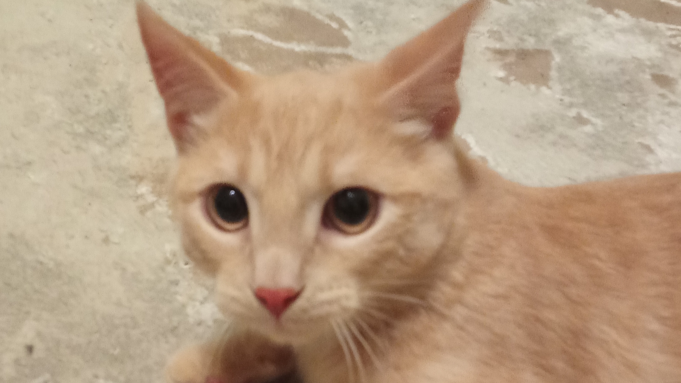 делаем мыло