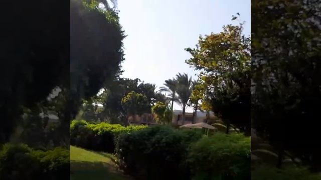 Golden Beach Resort, Hurghada, Egypt (Голден Бич Резорт, Хургада, Египет) смотреть онлайн