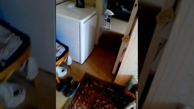 Рассказ о музыке смотреть онлайн