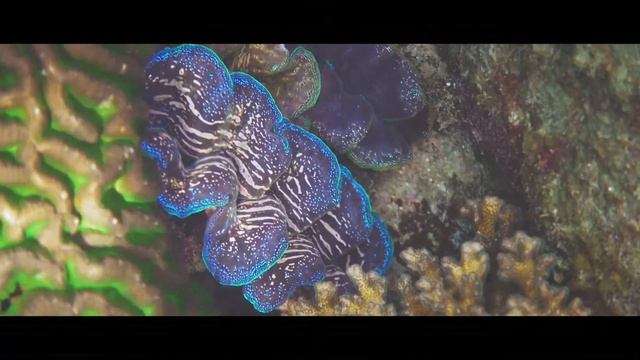 Gulf Of Thailand - Travel with Sony RX100V, Sony A6300 and GH4 смотреть онлайн